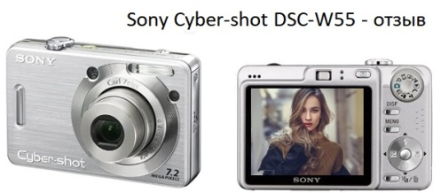 Sony Net-skot DS-55 myndavél-endurskoðun